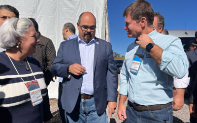 Governo de Minas afirma que 99% do café no Estado vem de áreas sustentáveis