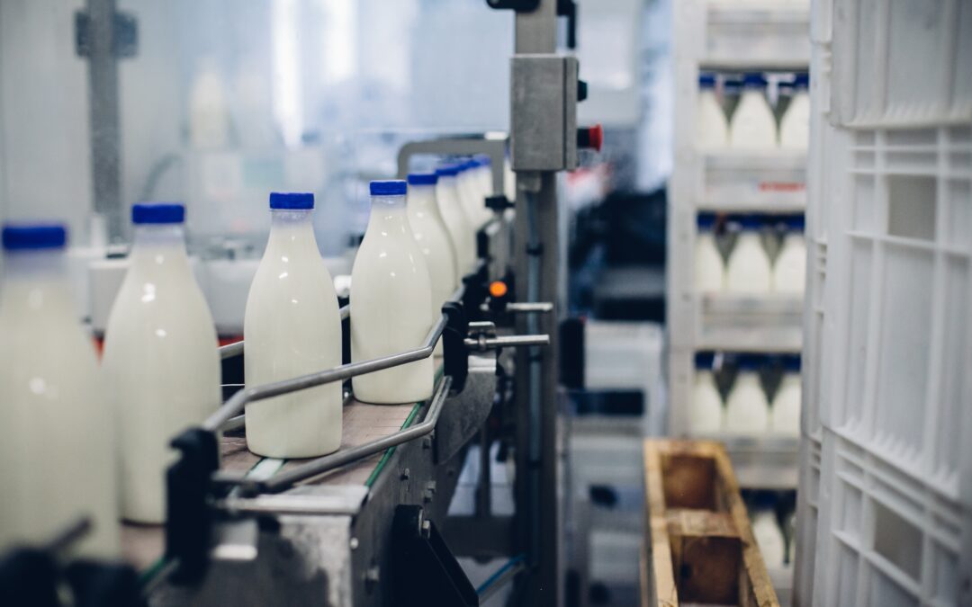 Custo de produção de leite apresenta aumento de 1,3% em novembro