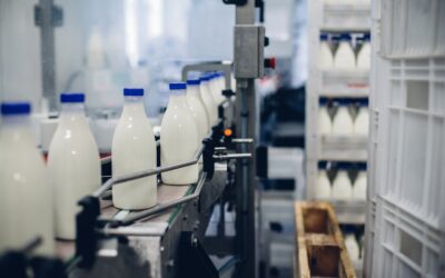 Preço do leite pago ao produtor em abril teve alta de 2,4%