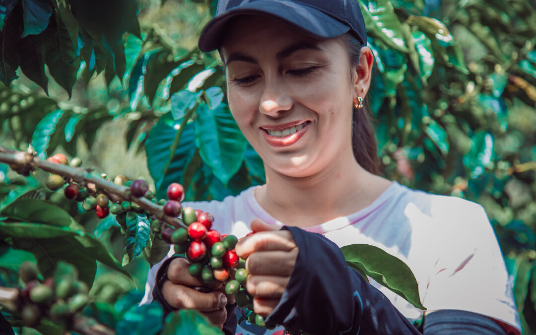 Epamig destaca protagonismo da mulher na cafeicultura brasileira