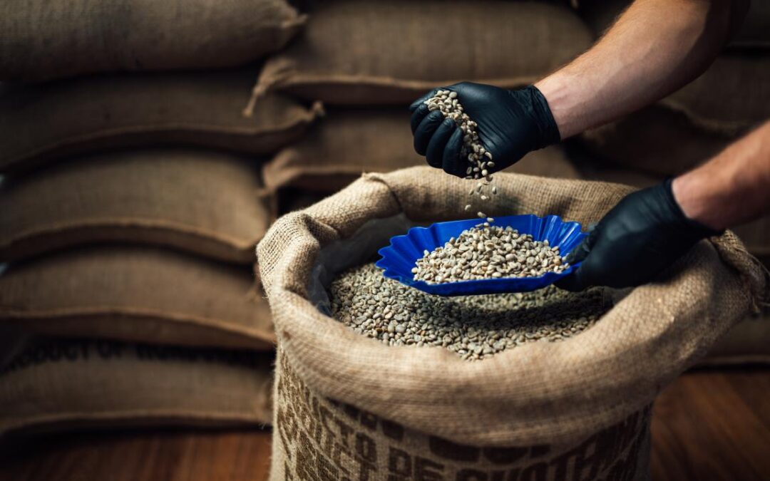 Café: exportações brasileiras apontam queda de 10,3%