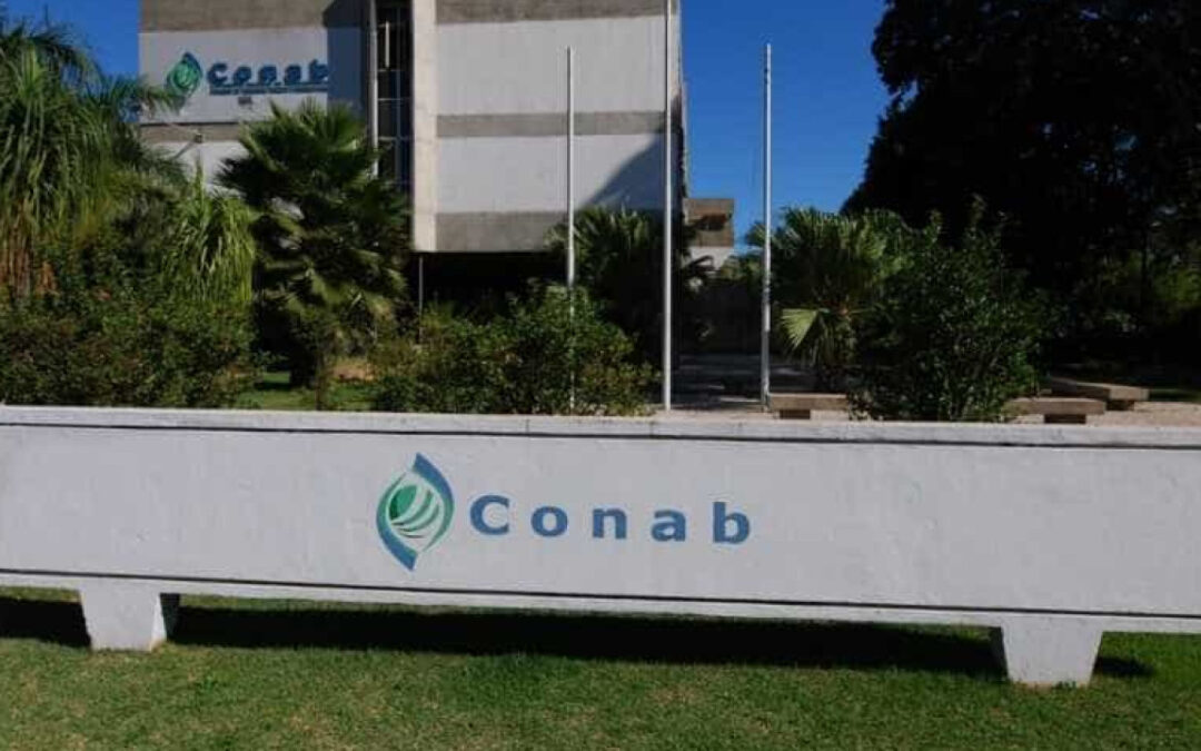 Estoques reguladores ganham nova etapa no país