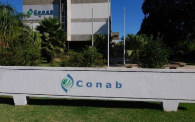 Governo vai propor gestão compartilhada da política de preço mínimo na Conab