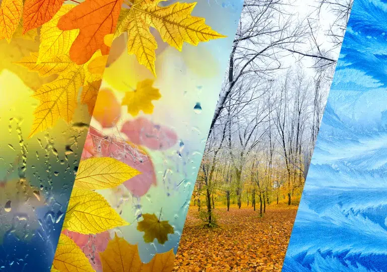 Chuvas em maio favoreceram lavouras