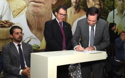 MG formaliza trabalho temporário para colheita de café