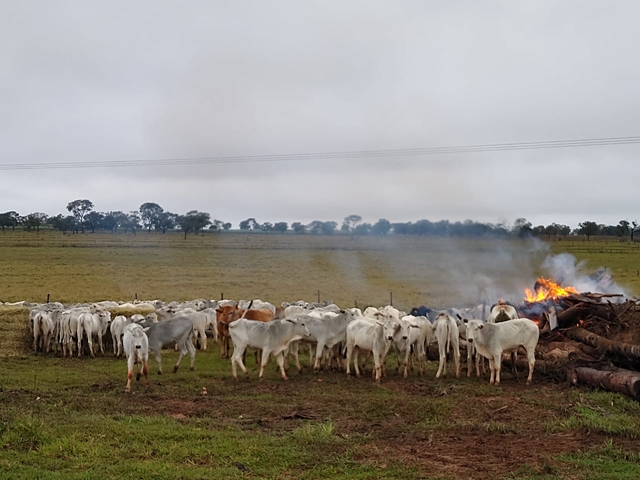 WhatsApp Image 2023-06-19 at 17.57.28