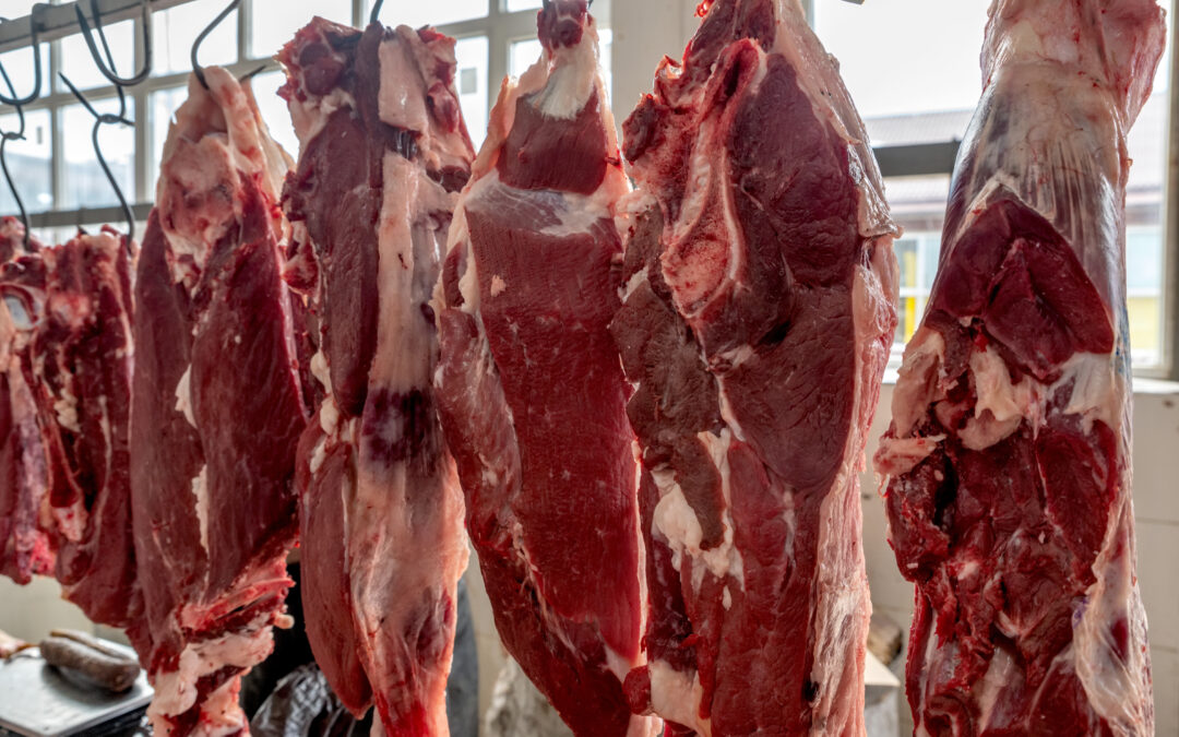 Área de exportação de carne bovina é ampliada para mercado canadense