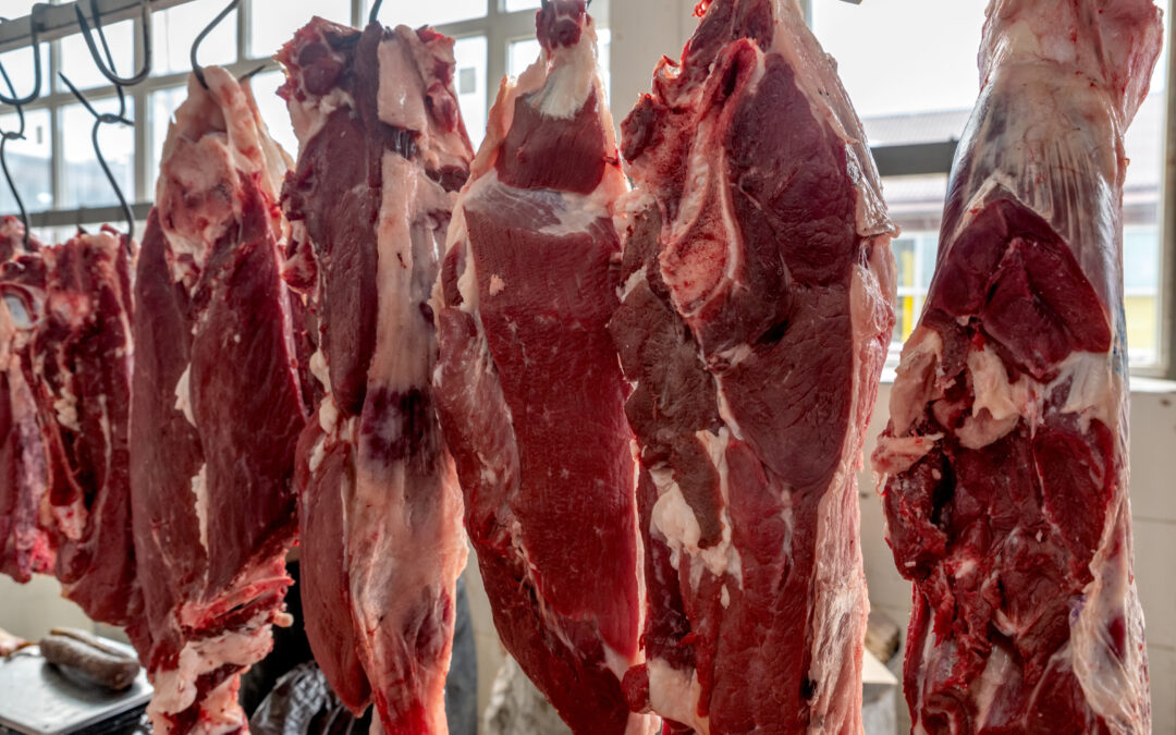 Carne: Brasil exporta 168 mil toneladas no mês de maio