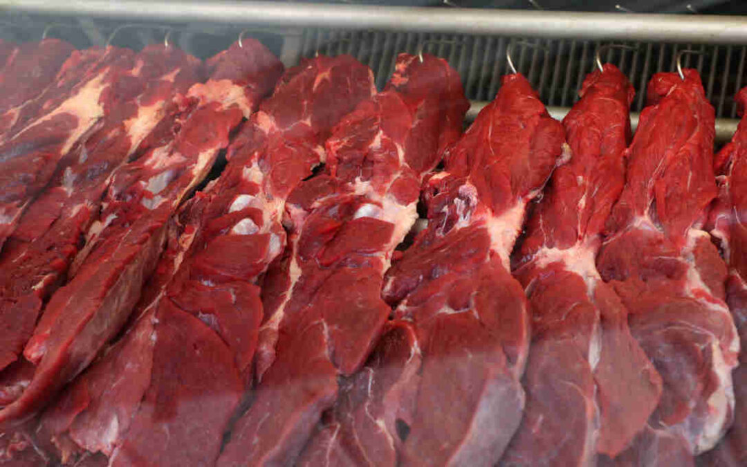 Exportação de carne bovina cresce 11% em volume