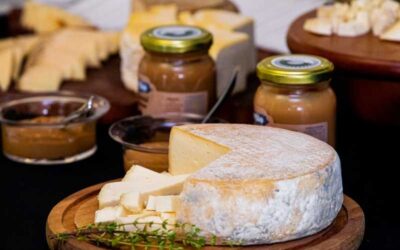 IMA abre consultas públicas sobre Queijo Minas Artesanal