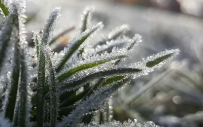 Região Sul enfrenta mudanças climáticas e possibilidade de geadas