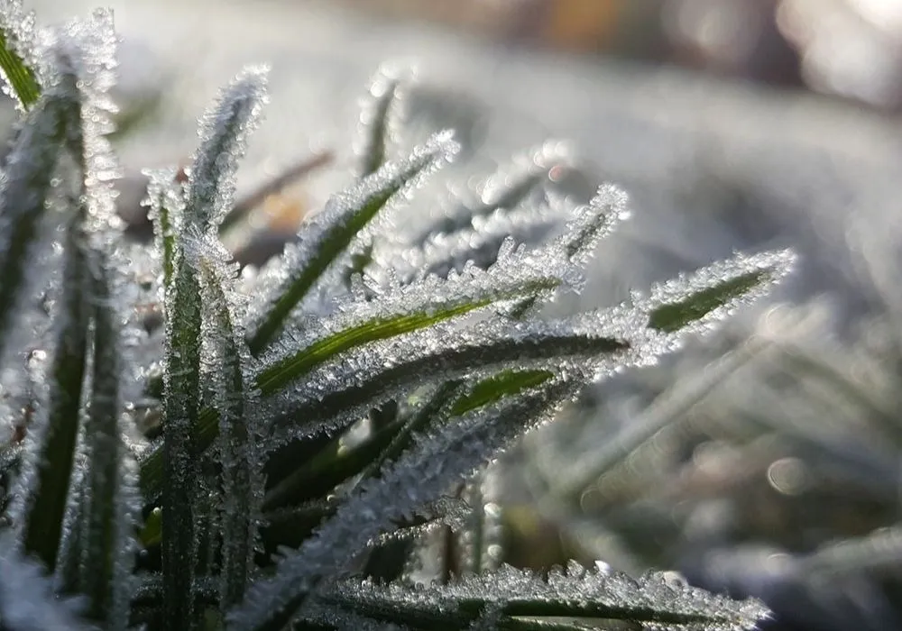 geada-o-que-e-e-como-ocorre–10351-1_1280