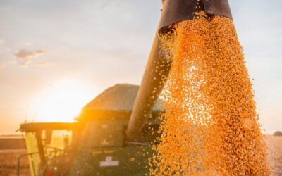 Brasil deve ter novo recorde com safra de grãos de 315 milhões t
