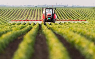 Crédito Rural atinge novo recorde na safra 2022/23, ultrapassando R$ 318 bi