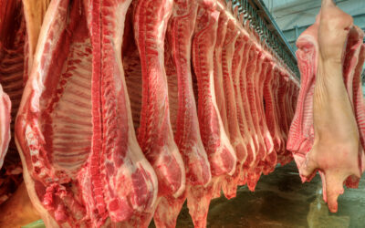 Mercado do suíno em alta com demanda forte em fevereiro