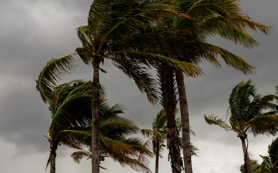 Chuvas e ventos intensos devem atingir a Região Nordeste