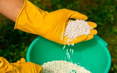Anda registra recuo de 4% na entrega de fertilizantes no Brasil