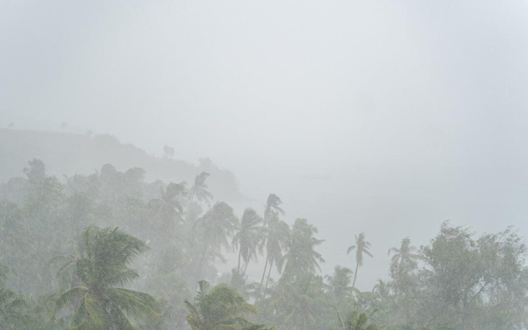 Alerta Meteorológico: ciclone extratropical trará queda de temperaturas e ventos fortes