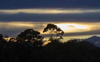 Previsão do tempo para o final de semana