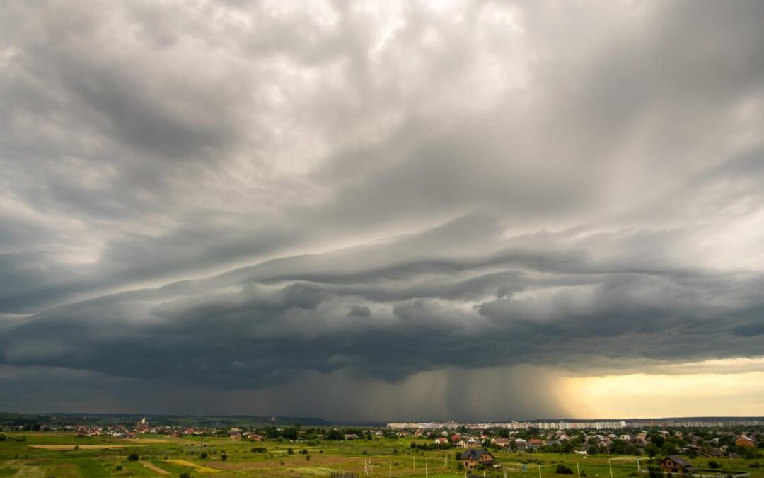 Chuvas de junho favorecem lavouras de feijão e milho pelo Brasil