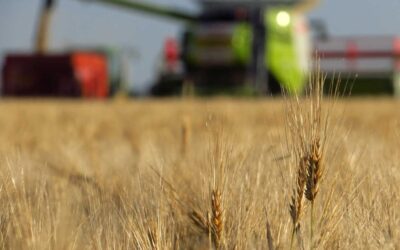 El Niño: Intensidade fraca e moderada não deve influenciar próxima safra