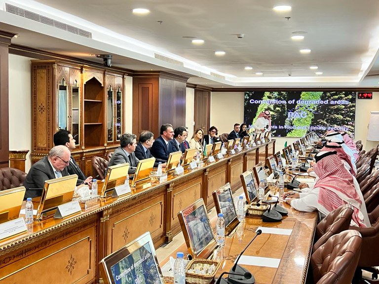 8a8079e1-39c7-4293-9709-6f2cd0d4da3a