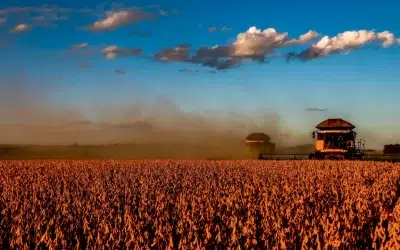 Onda de calor domina São Paulo e alguns estado em agosto quente