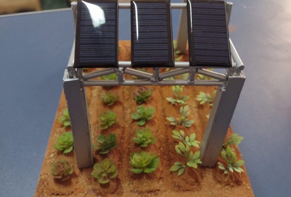 EPAMIG desenvolve pesquisas para a geração de energia agrivoltaica