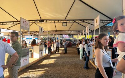 Fenec 2023 destaca investimentos de resultados