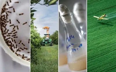 Insumos biológicos – Um passo para o agro do futuro