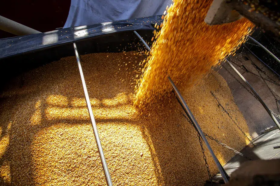 Exportações de milho podem chegar até 10 milhões de t. em agosto