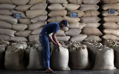 CAFÉ: Embarque de robusta cresce 119% em julho