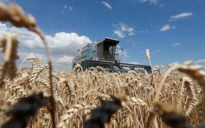 Conab estima safra de grãos brasileira em 320 mi de toneladas