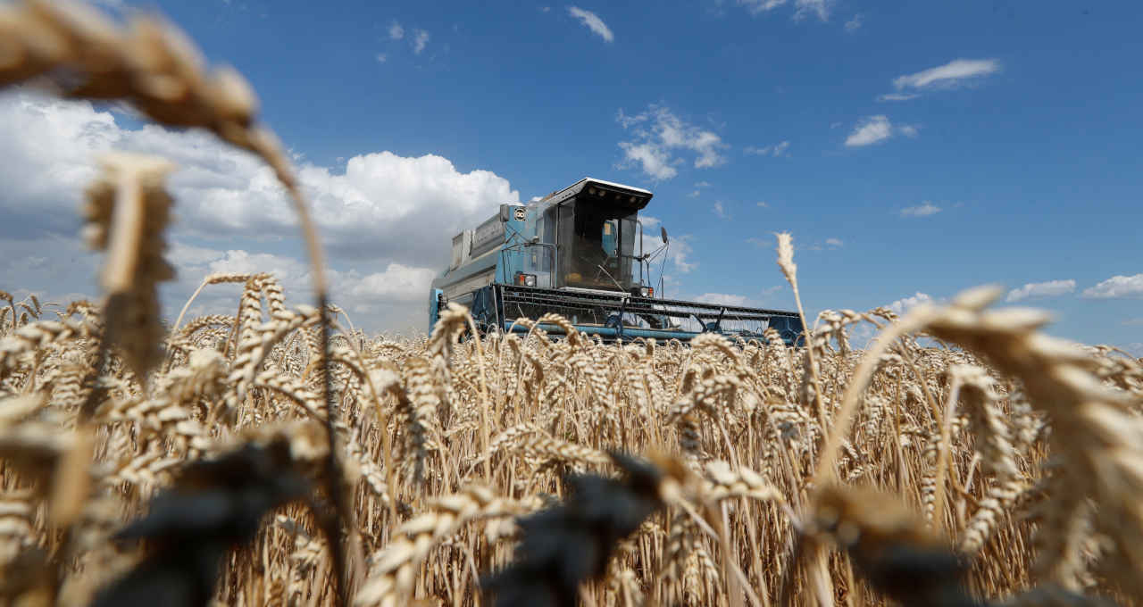 graos-ucrania-trigo
