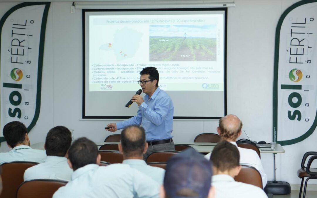 Estudos destacam a importância do calcário para os solos brasileiros