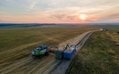 El Niño impacta safra 2023/24 de soja e milho no Brasil.