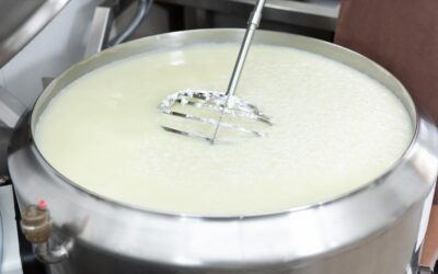 Quedas consecutivas: o cenário atual do setor leiteiro