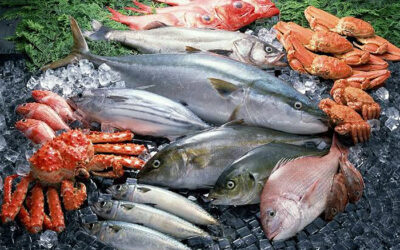 Semana do Pescado: Consumo cresce 65% no Brasil