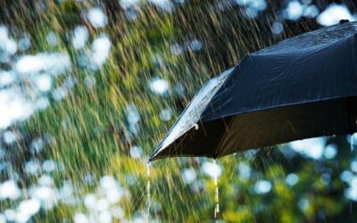 El Niño: Chuvas regulares e temperaturas mais altas nos meses seguintes