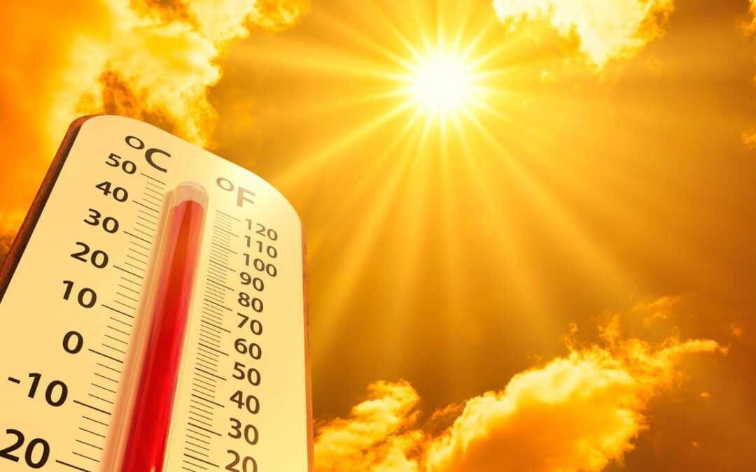 Chuvas irregulares e altas temperaturas devem marcar Cerrado e Norte