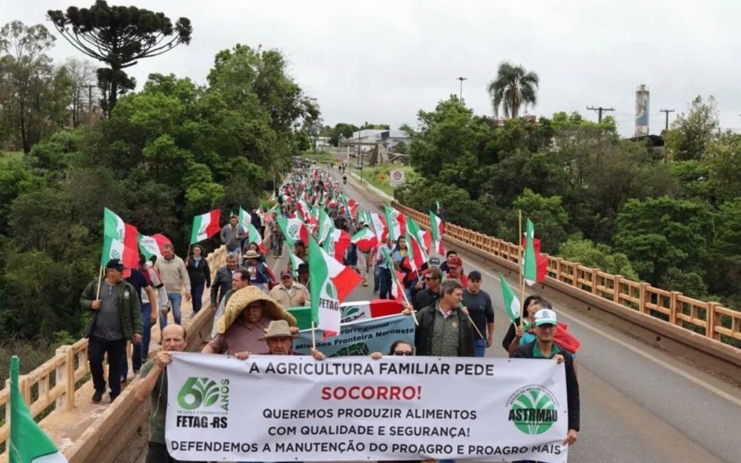 LEITE: Após novo aumento nas importações, produtores protestam