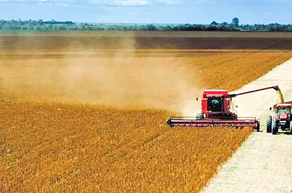 SOJA: USDA estima safra mundial em 399 milhões de t.