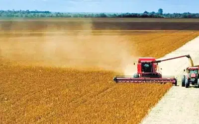 SOJA: USDA estima safra mundial em 399 milhões de t.