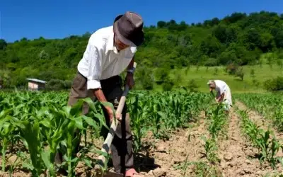 Saúde mental no campo: 9 milhões de trabalhadores rurais convivem com transtornos mentais