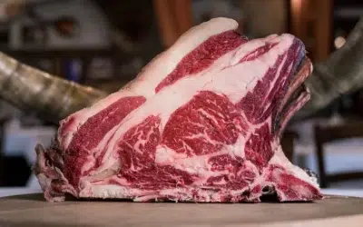 Carne bovina: Imea aponta produção de carne em mais de 715 mil t.