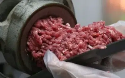 BOI: Produção brasileira de carne pode ultrapassar 30 mi t.