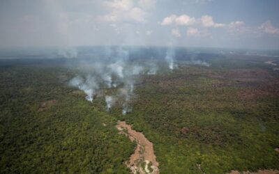 Estiagem no Amazonas atinge 158 mil famílias