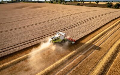 Produção de trigo no Paraná tem estimativa baixa para safra 2023
