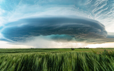 SAFRA 2024: El Niño atrasa plantio da soja e preocupa produtores