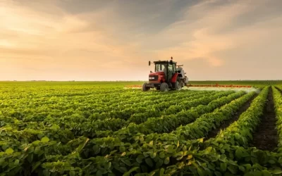 Agronegócio brasileiro: balanço de 2024 e perspectivas para 2025